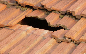 roof repair Little Cressingham, Norfolk